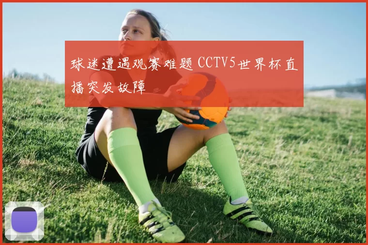 球迷遭遇观赛难题 CCTV5世界杯直播突发故障