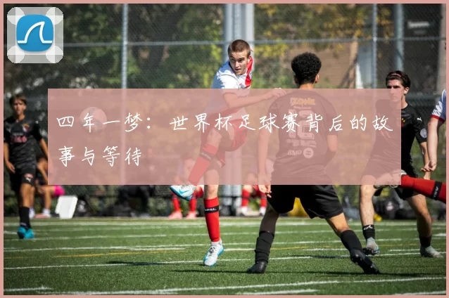 四年一梦：世界杯足球赛背后的故事与等待