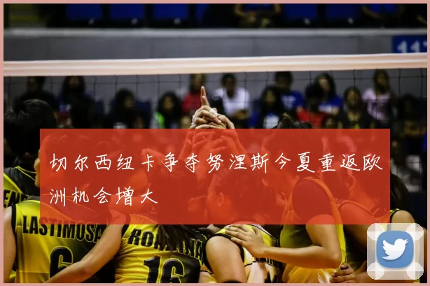 切尔西纽卡争夺努涅斯今夏重返欧洲机会增大