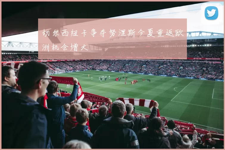 切尔西纽卡争夺努涅斯今夏重返欧洲机会增大