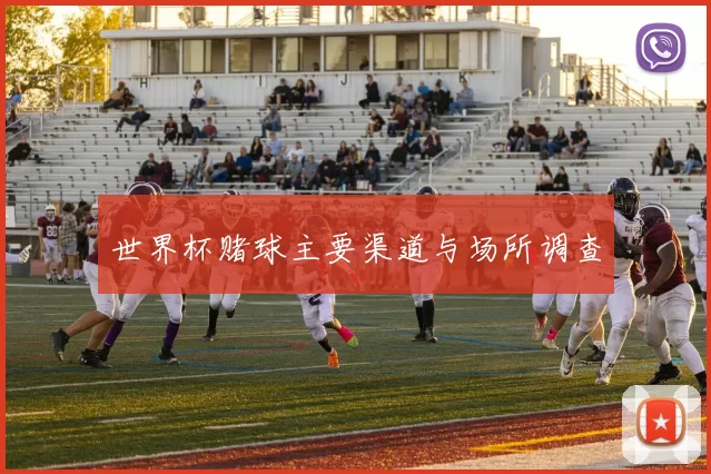 世界杯赌球主要渠道与场所调查