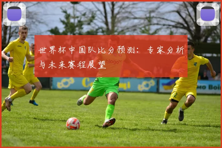 世界杯中国队比分预测：专家分析与未来赛程展望