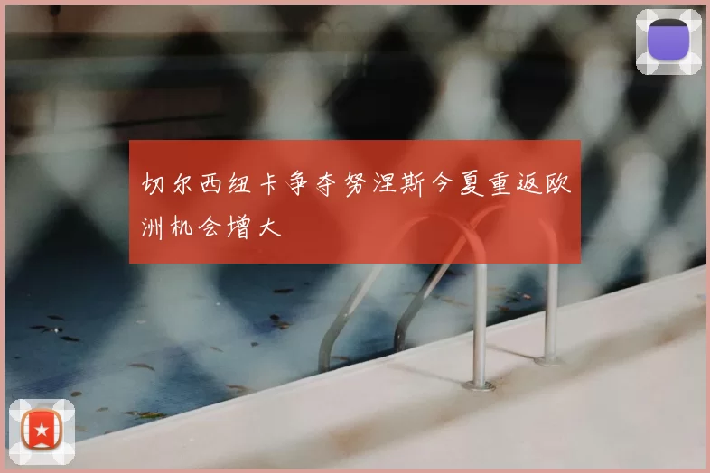 切尔西纽卡争夺努涅斯今夏重返欧洲机会增大