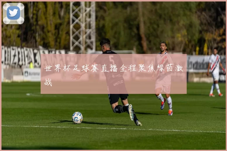 世界杯足球赛直播全程聚焦绿茵激战