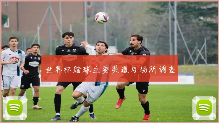 世界杯赌球主要渠道与场所调查