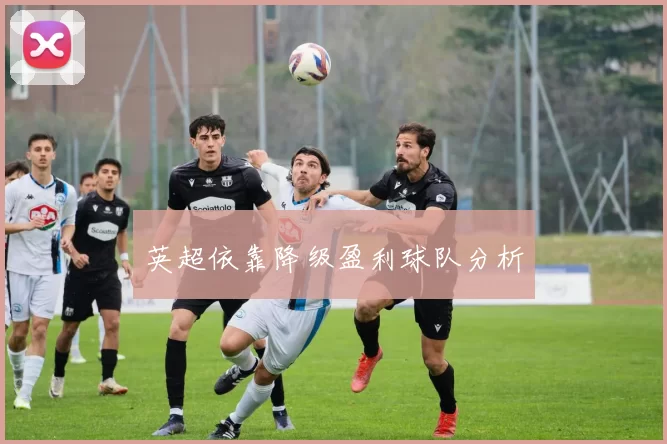 英超依靠降级盈利球队分析