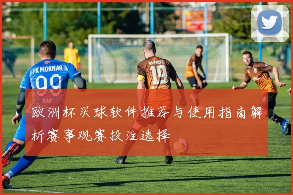 欧洲杯买球软件推荐与使用指南解析赛事观赛投注选择