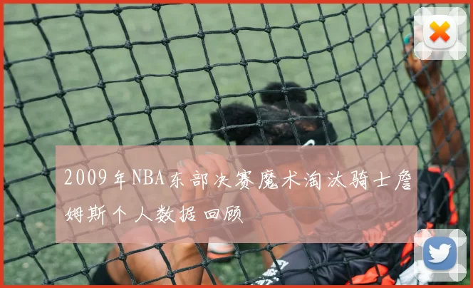 2009年NBA东部决赛魔术淘汰骑士詹姆斯个人数据回顾