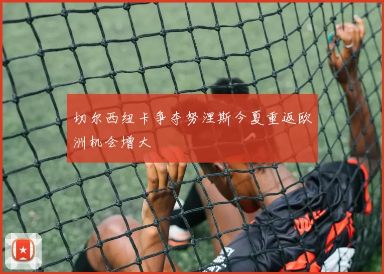切尔西纽卡争夺努涅斯今夏重返欧洲机会增大