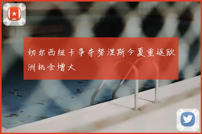 切尔西纽卡争夺努涅斯今夏重返欧洲机会增大