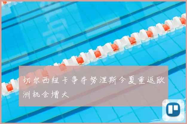 切尔西纽卡争夺努涅斯今夏重返欧洲机会增大