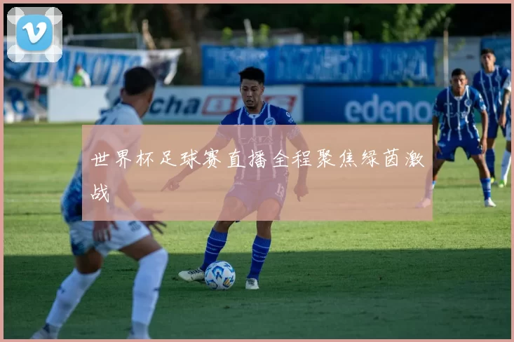 世界杯足球赛直播全程聚焦绿茵激战