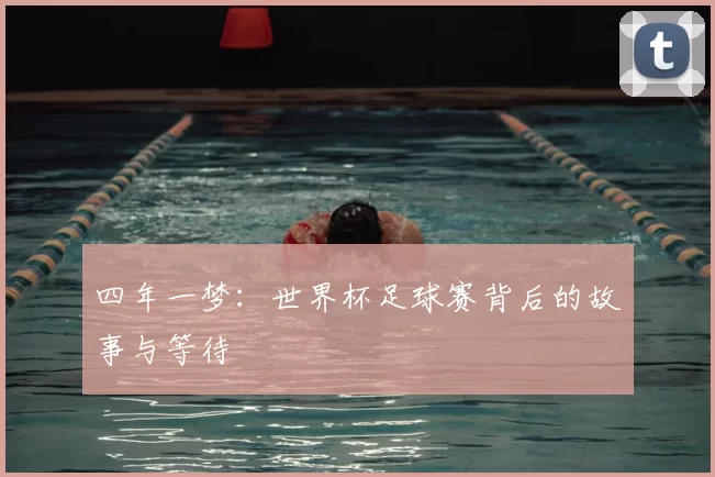 四年一梦：世界杯足球赛背后的故事与等待