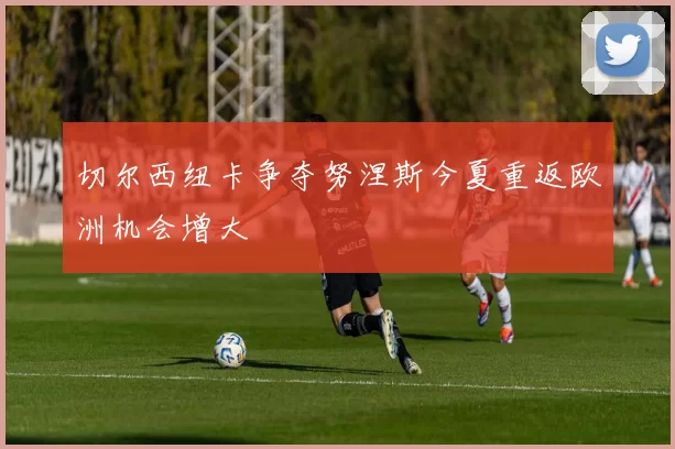 切尔西纽卡争夺努涅斯今夏重返欧洲机会增大