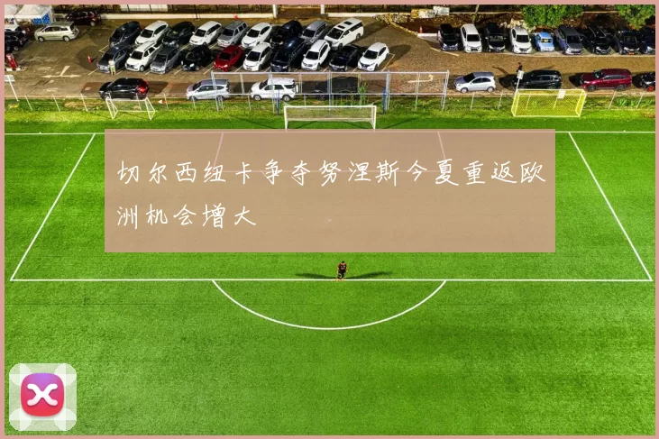 切尔西纽卡争夺努涅斯今夏重返欧洲机会增大