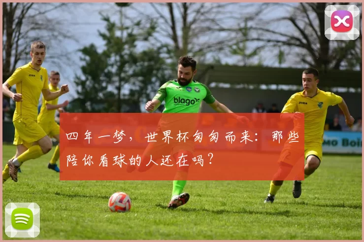 四年一梦，世界杯匆匆而来：那些陪你看球的人还在吗？