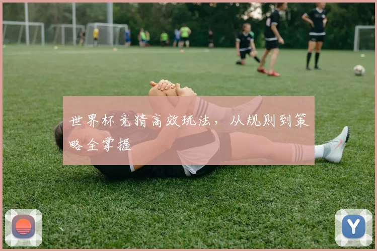 世界杯竞猜高效玩法，从规则到策略全掌握
