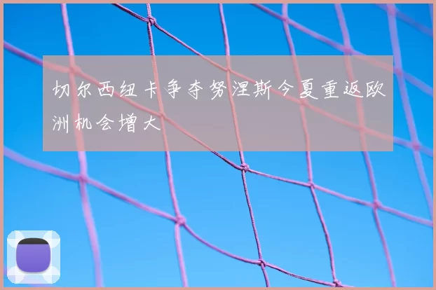切尔西纽卡争夺努涅斯今夏重返欧洲机会增大